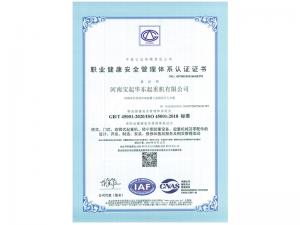 職業(yè)健康安全管理體系認證證書